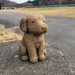 35-2.垂れ耳いぬ